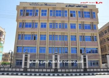 أفضل تخصصات كلية الطب البيطري ومجالات العمل بها