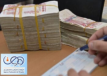 كيفية التسجيل في منحة المرأة الماكثة في البيت 2026 رابط التسجيل في منحة المرأة الماكثة في البيت