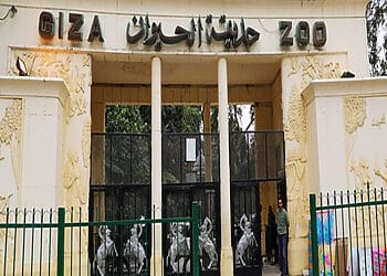 أسعار تذاكر حديقة الحيوان بالجيزة 2026 بالمواعيد أسعار تذاكر حديقة الحيوان بالجيزة بالمواعيد
